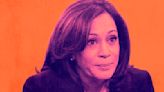 Dozens of right-wing media personalities suggested Kamala Harris’ political success is due to DEI