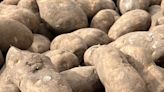 A Manitoba farmer had a surplus of potatoes. So he gave millions of them away | CBC Radio
