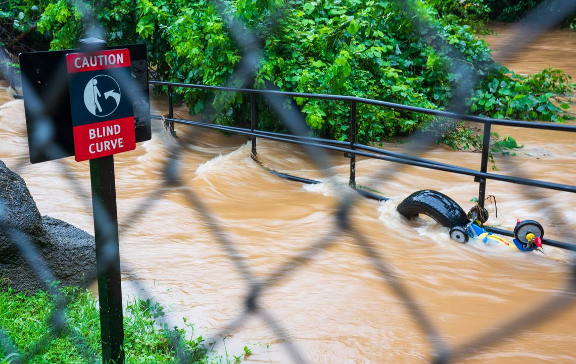 A day after Debby hit Charlotte, cleanup — and stifling sun — are in the forecast