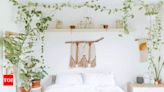 Plants to keep in the Bedroom - Times of India