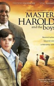 Master Harold...and the Boys (2010 film)