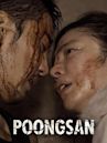 Poongsan (2011 film)