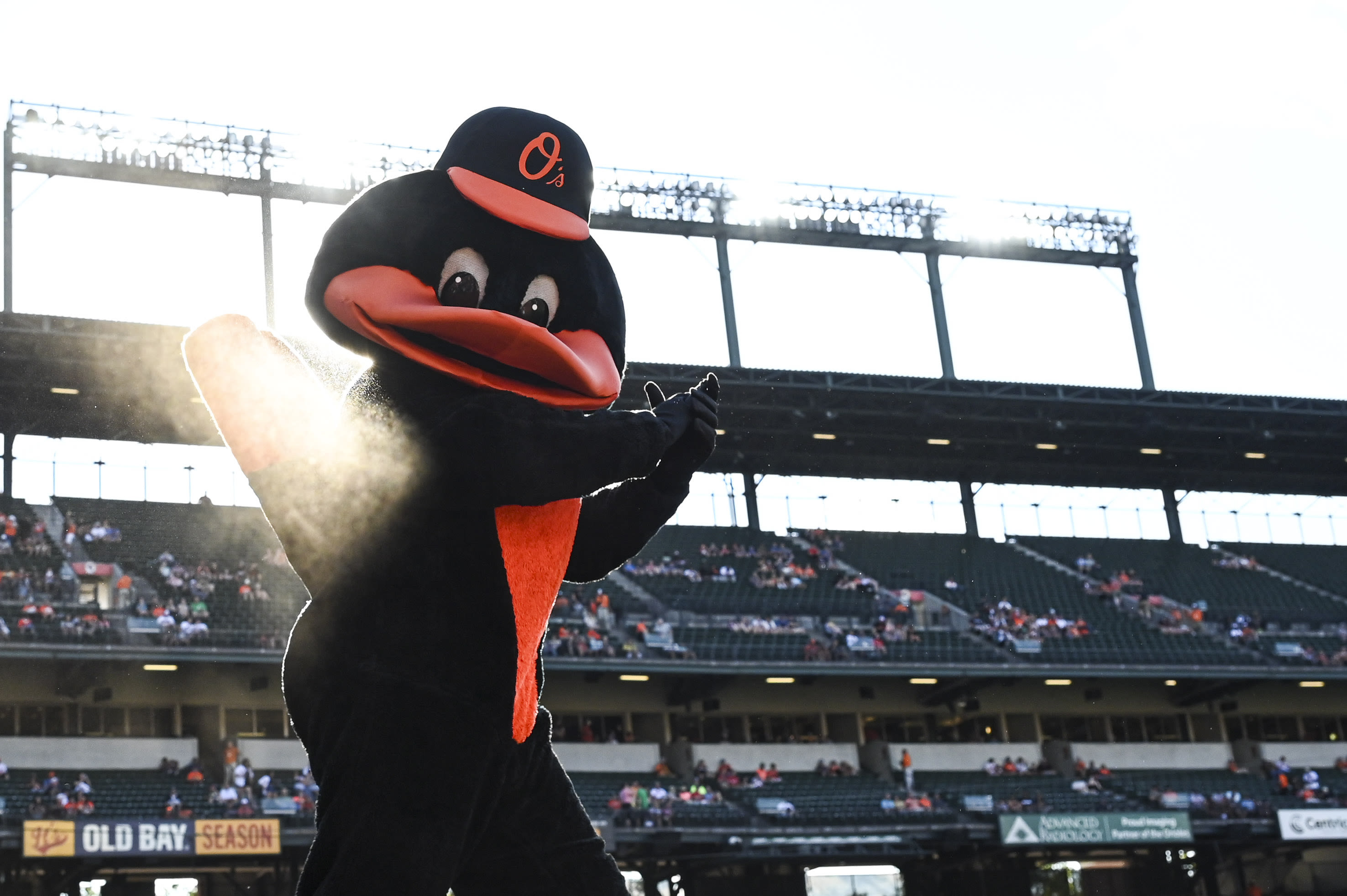 Orioles fan vies for MLB catch of the year with drink, phone, baby stroller in tow