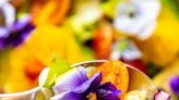 12 Edible Flowers (Yes, Edible!) You Can Grow in Your Own Garden