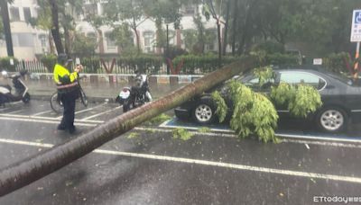 快訊／大雨狂炸台南！路樹倒塌砸車 永康淹水排水孔變噴泉