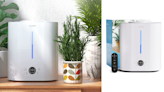 8 best humidifiers on Amazon Canada — plus why you need one for winter