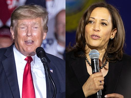 Kamala Harris aventaja a Donald Trump en tres estados clave: esto revela encuesta - El Diario NY