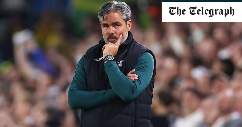 Norwich City sack David Wagner one day after Championship play-off humiliation