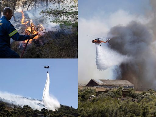 Greece Wildfires: Strong Winds Ignite More Fires As PM Warns Of 'Dangerous Summer' Ahead