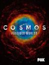 Cosmos: Nouveaux Mondes