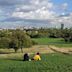 Primrose Hill