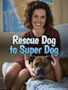 Rescue Dog to Super Dog