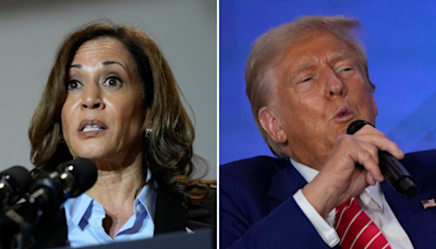 Poll predicts Kamala Harris election win despite Trump leading swing states