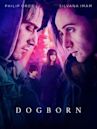 Dogborn