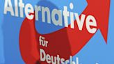 Cómo la 'AfD' alemana podría crear un nuevo grupo de extrema derecha en el Parlamento de la UE