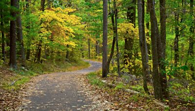 NC Senator visits the Blue Ridge Parkway as Historic Landmark nomination progresses