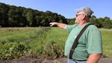 PA farmers 'don't get enough credit' for bay cleanup, says longtime York County farmer