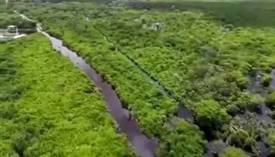 Culpan a obras del Tren Maya de inundaciones en Bacalar