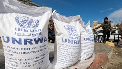 Netherlands will consider resuming support to Palestinian UNRWA agency