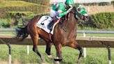 Patriot Spirit Makes All, Draws Off In Illinois Derby Revival