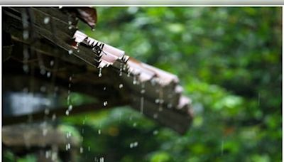 Monsoon revival expected across India, heavy rains for west coast and eastern regions - CNBC TV18