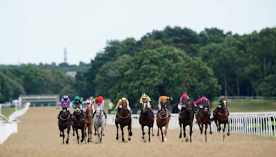 Newcastle tips: Four to follow at the Northumberland Plate Festival