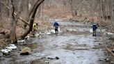 Ohio train derailment leads to dead animals and contaminated waterways