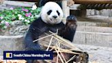 Let China pandas live in ‘natural habitat’, Thai critics urge as PM mulls loan