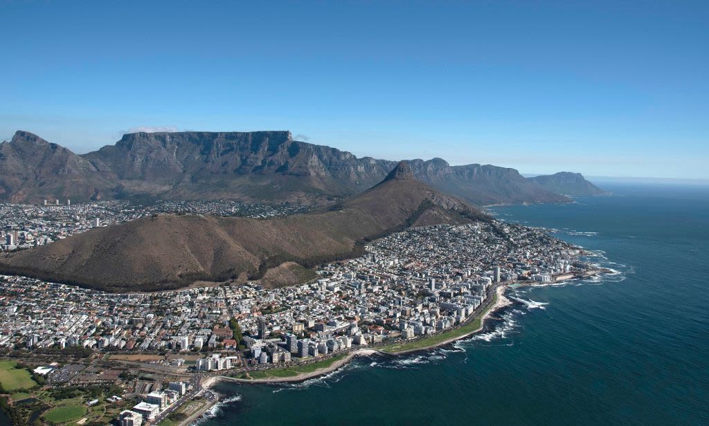 Dead seals on Cape Town beaches raise fears about widening rabies outbreak