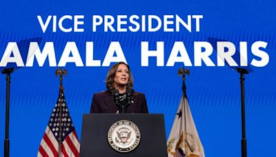 Bring it on – Kamala Harris says she is ready to fight for country’s future