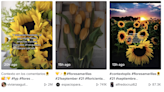 ¿Por qué todas quieren que les regalen flores amarillas en TikTok?
