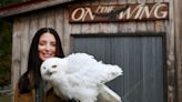 Spreading her wings: Raptor rehabilitator Jane Kelly moving On the Wing out of NH