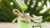 Aloe vera à boire : bienfaits santé et précautions