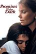 Promises in the Dark (film)