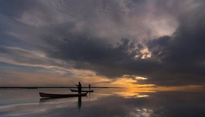 ‘Don’t be afraid for the marshes’: The battle to save Iraq’s waterways