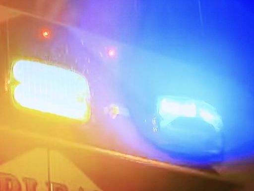 Wisconsin woman dies following ORV crash in Delta County