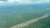 Colombia: vías ilegales dejan 900 hectáreas de deforestación en territorios indígenas y un parque nacional | Blogs El Espectador