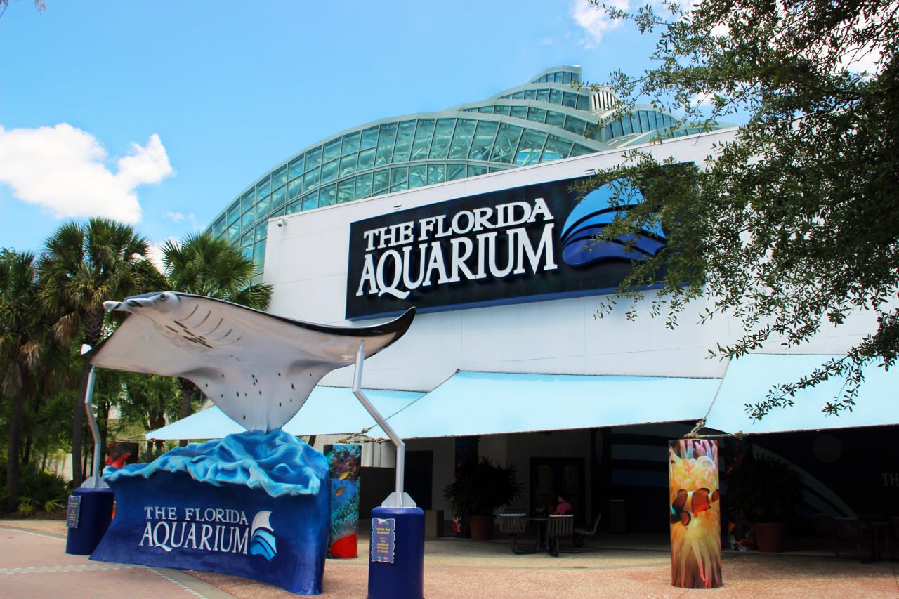 The Florida Aquarium ranked among top 10 best aquariums in the nation, USA Today survey reveals
