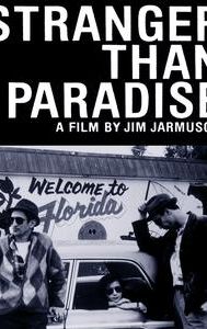 Stranger Than Paradise