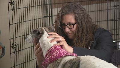 Vet At Your Door: In-home pet wellness services spike in Maine