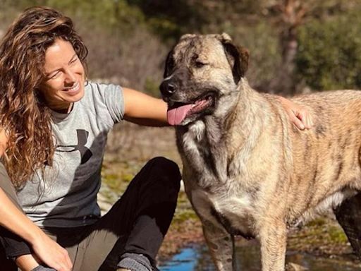 El emotivo reencuentro de Laura Madrueño con su perro tras más de cinco meses en Honduras por 'Supervivientes'