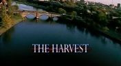 16. The Harvest