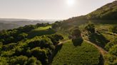 The CFO of one of Napa Valley’s top wineries on being your own advocate