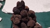 Off The Beaten Path | Growing Truffles...in Kentucky