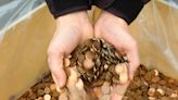 An LA couple found 1 million copper pennies in the crawlspace of an old family home. Now comes the hard part: Figuring out what to do with them.