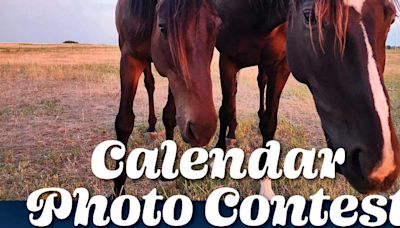 Thoroughbred Aftercare Alliance Announces Fourth Annual Calendar Photo Contest