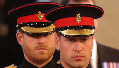 Prince Harry Left 'In Tears' After Military Role Was Given To Prince William
