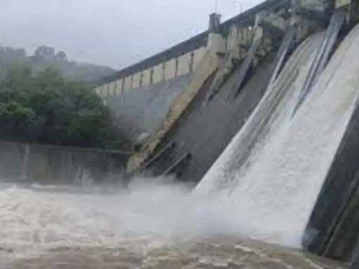 Mumbai: Lake levels in seven reservoirs that supply water to the city at 9.01 per cent