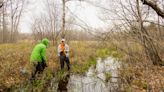 How John Ball Zoo is working to protect spotted turtles