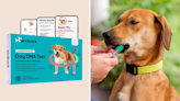 Curious about your dog's breed? Get this DNA test kit for $40 off during Amazon Pet Day